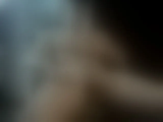 Live sex webcam photo for Fresh-b1ood #293270951