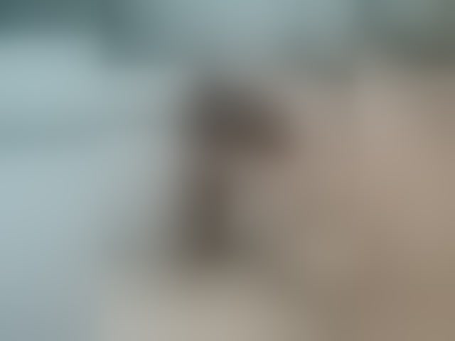 Live sex webcam photo for Freshmeat #293809919
