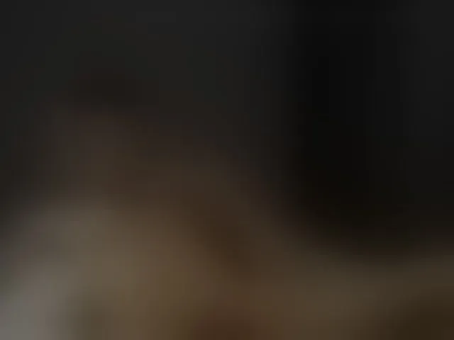 Live sex webcam photo for Fromedcam #293227142