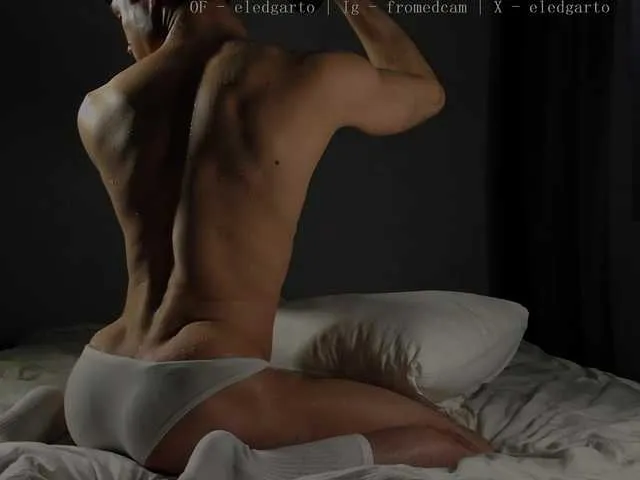 Live sex webcam photo for Fromedcam #293667220