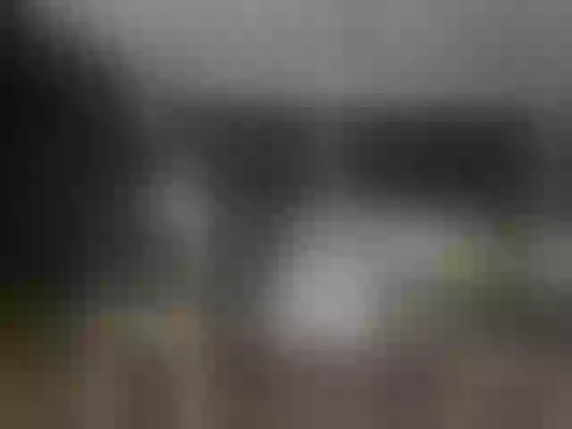 Live sex webcam photo for GGMansion #287967062