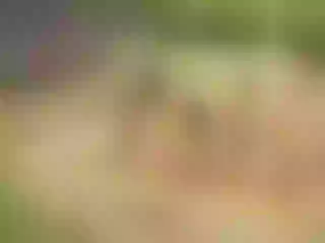 Live sex webcam photo for GGMansion #291420462