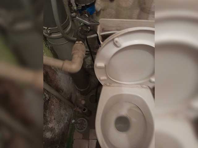 Live sex webcam photo for GORBATUYHER #276030458