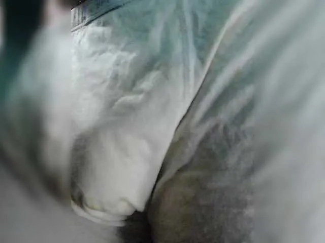 Live sex webcam photo for GORBATUYHER #291207630