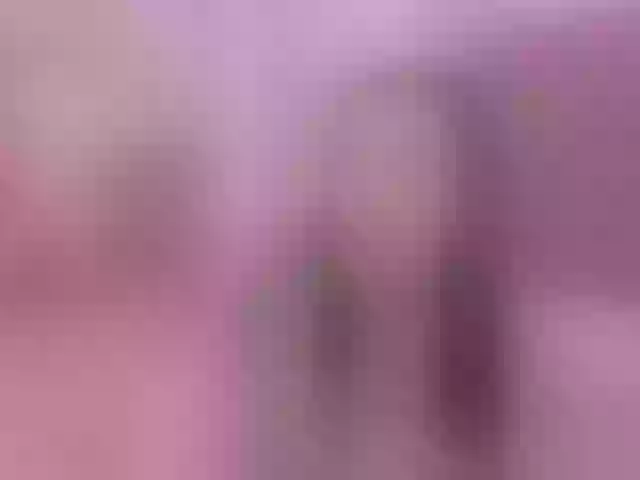 Live sex webcam photo for Gabymanson #290916241