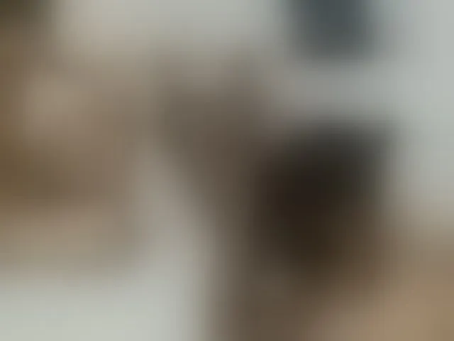 Live sex webcam photo for Gangbangparty #293241070