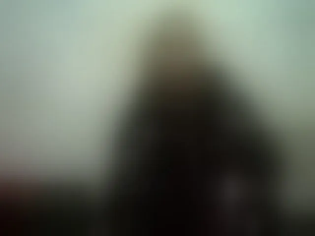 Live sex webcam photo for GardenerofIllusions #293044246