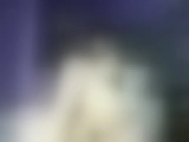 Live sex webcam photo for GeishaSlut #292648145