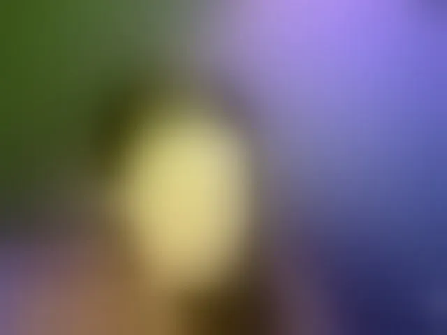 Live sex webcam photo for GentleSweet #292251514