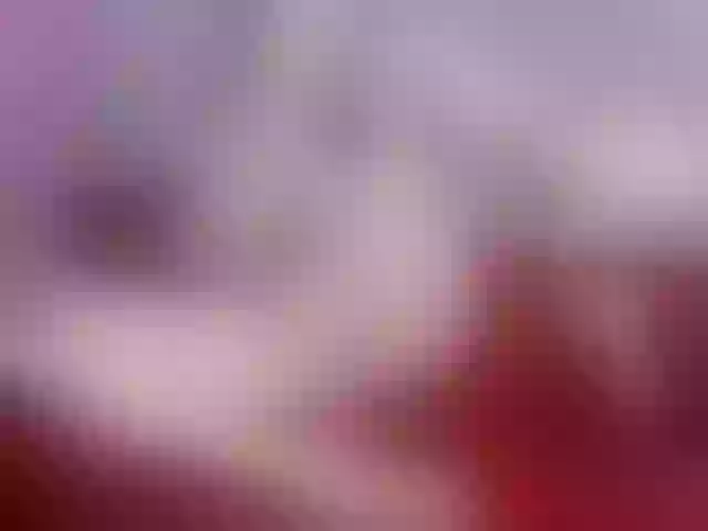 Live sex webcam photo for GeraBrown #290397875