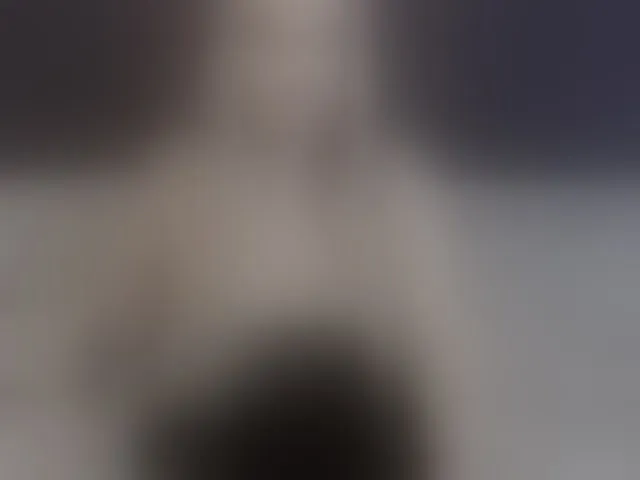 Live sex webcam photo for GeraBrown #293876811