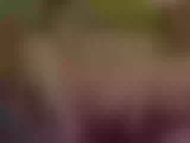 Live sex webcam photo for Gessifossa #291379989