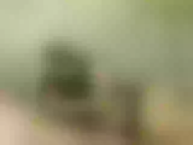 Live sex webcam photo for GiaMaria #291425406