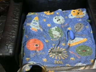 Live sex webcam photo for Giadasexy #128296678