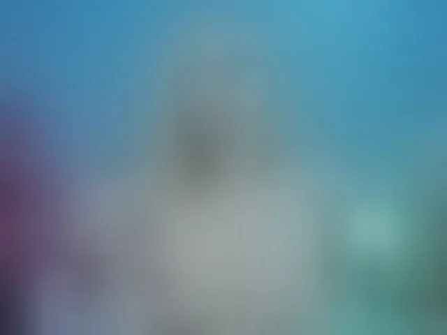 Live sex webcam photo for GinaLovely #292724608