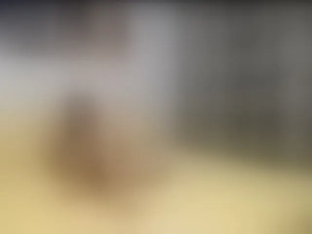 Live sex webcam photo for Glamouros #293944823