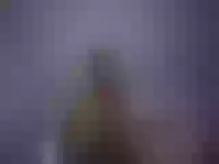 Live sex webcam photo for GlazinD #135111458