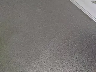 Live sex webcam photo for GlazinD #139701349