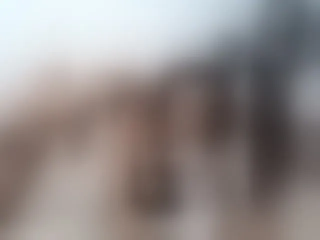 Live sex webcam photo for GlobeTrottieHottie1 #292612081