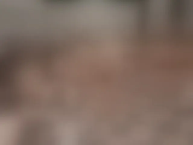 Live sex webcam photo for GlobeTrottieHottie1 #292715719