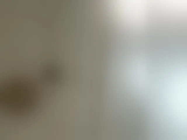 Live sex webcam photo for GlobeTrottieHottie1 #292809140