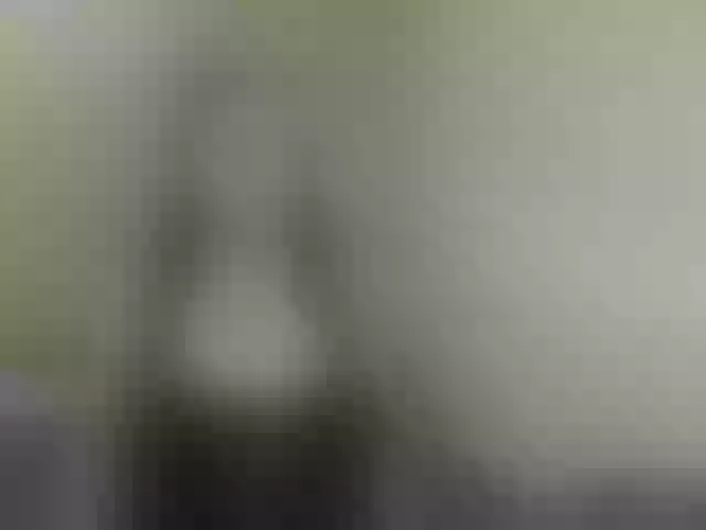 Live sex webcam photo for GoddessKassie #292036299