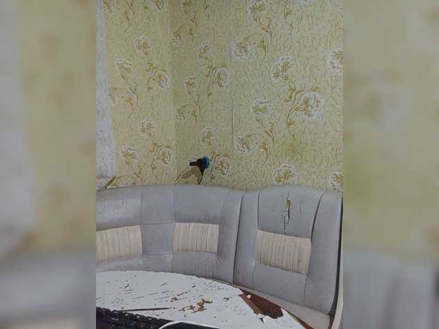 Live sex webcam photo for Godistime1994 #278136801