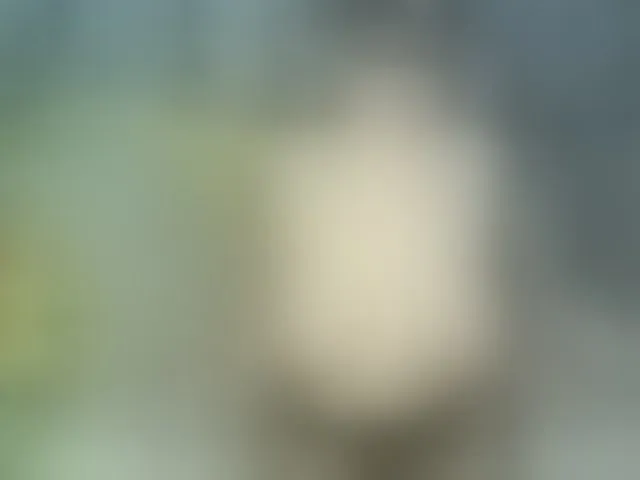 Live sex webcam photo for GoldenFisha #293053322