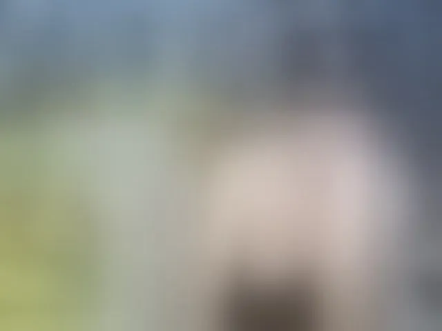 Live sex webcam photo for GoldenFisha #293168585