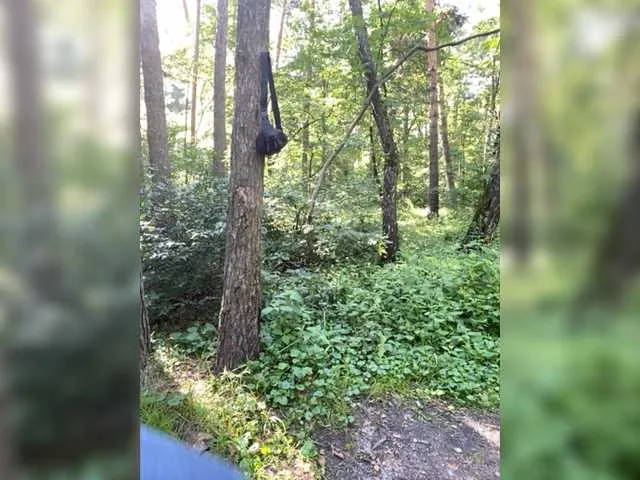 Live sex webcam photo for Gorginya #275948209