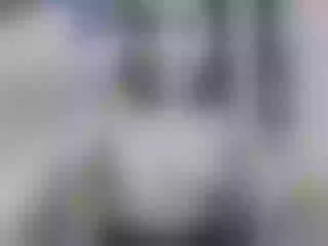 Live sex webcam photo for Gospoga22 #271892497