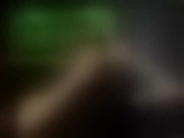 Live sex webcam photo for GottiBarbosa #292740017