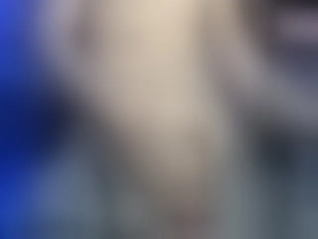 Live sex webcam photo for Gowtherr #293531136