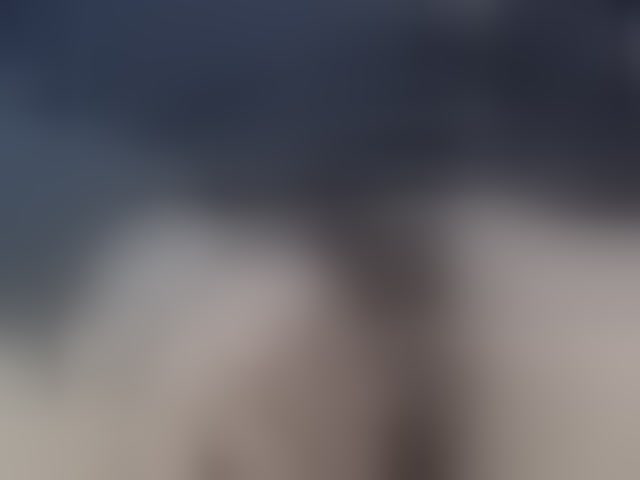 Live sex webcam photo for Gowtherr #294036918