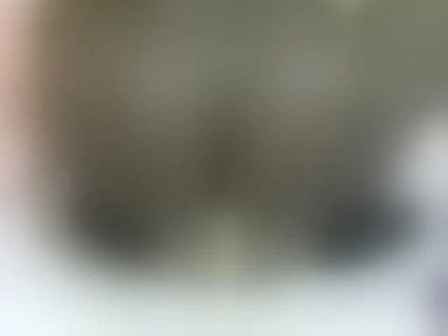 Live sex webcam photo for GraceWillings #277492457