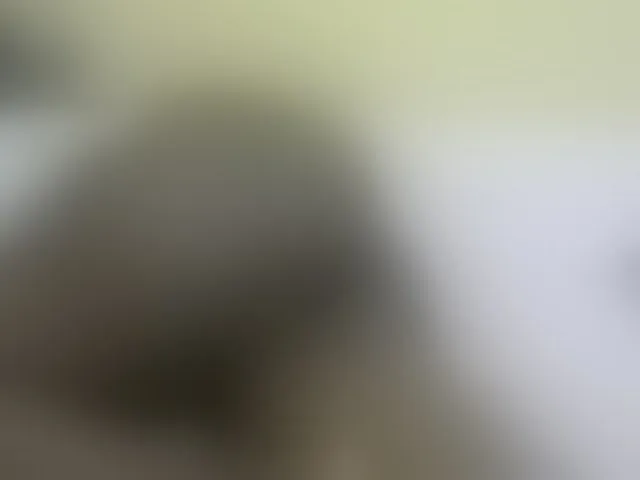 Live sex webcam photo for GraceWillings #277578609