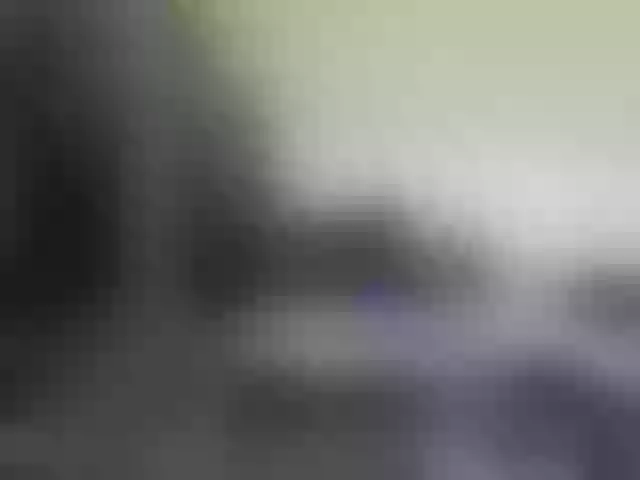 Live sex webcam photo for GraceWillings #277630051