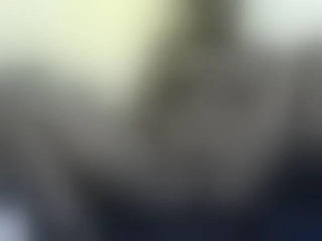 Live sex webcam photo for GraceWillings #277671006