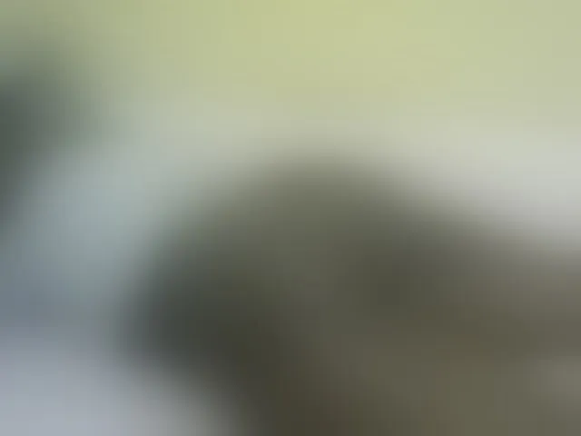 Live sex webcam photo for GraceWillings #277710310