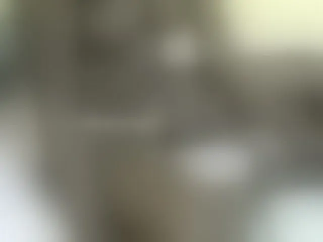 Live sex webcam photo for GraceWillings #277716879
