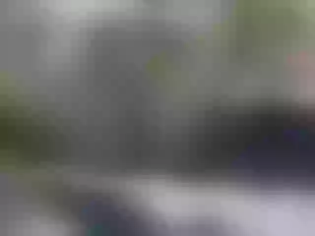 Live sex webcam photo for GraceWillings #277740561