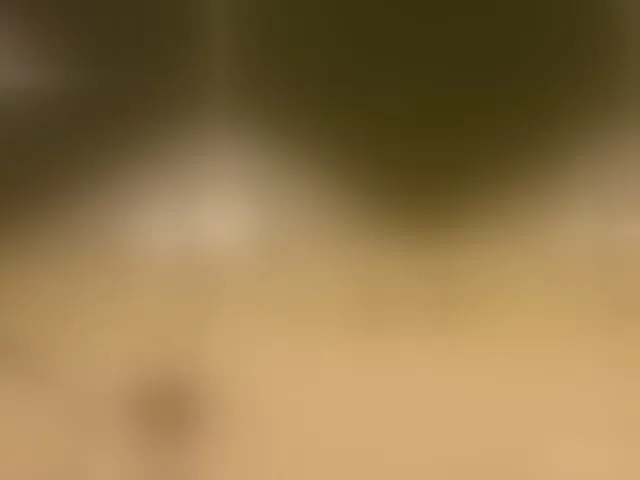 Live sex webcam photo for Greedy-Kim5 #293386520