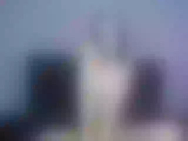 Live sex webcam photo for Gretelchannel #274023740