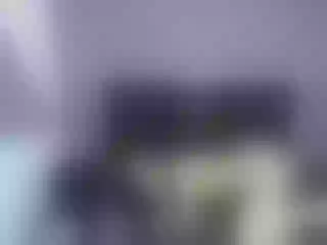Live sex webcam photo for Gretelchannel #274057950