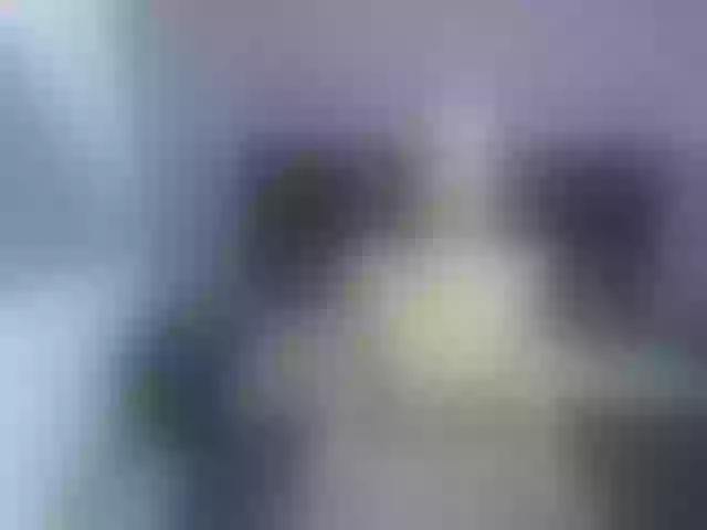 Live sex webcam photo for Gretelchannel #274168301