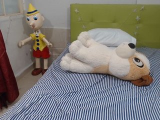 Live sex webcam photo for GreysMiller #169923524