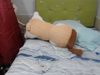 Live sex webcam photo for GreysMiller #170194758