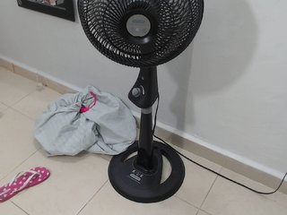 Live sex webcam photo for GreysMiller #177308930