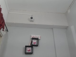 Live sex webcam photo for GreysMiller #184588032