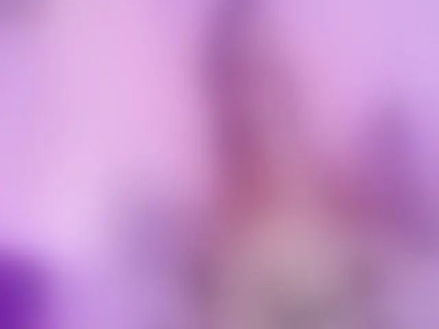 Live sex webcam photo for Gwonteer #273506043